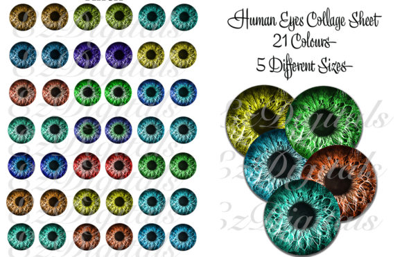 Download Human Eyes Collage Sheet - Man Collection